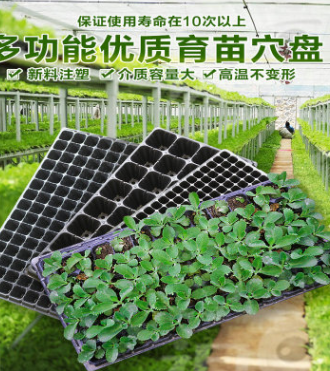 育苗盤 穴盤種植芽苗菜托盤 多肉箱 營養缽 加厚蔬菜可端200孔穴