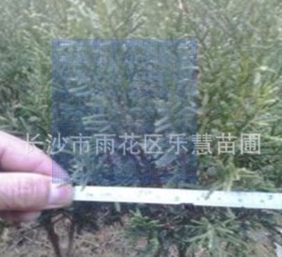 QQ截圖20180828145038