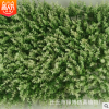 白尖尤加利 仿真植物墻綠植背景墻尤加利仿真米蘭塑料草坪