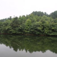 近現代建設：園林綠化的修建背景，發展情況