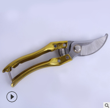 朱鐵匠65錳省力果樹粗枝修枝剪 金色鍍鉻鳥嘴型花果園藝剪刀