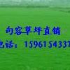 特價供馬尼拉草坪，天堂草坪，百慕大電15961543375