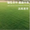 潔苒草坪 百慕大草坪多款可選健康環(huán)保