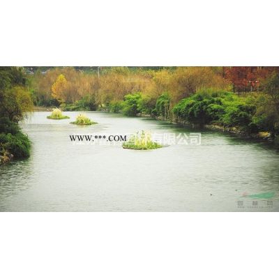 香泡，香泡樹苗，香泡樹，別名：香櫞，枸櫞，香泡基地，沭陽香泡