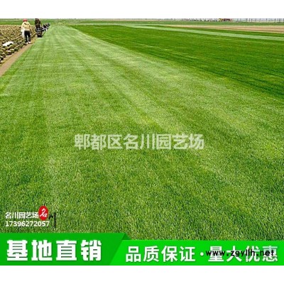 雙以杯大花繡球_繡球花批發價格_八仙花種植基地報價_成都花境草花報價