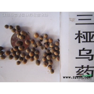 創意動物造型雕塑戶外綠化工程造景植物雕塑廠家定制仿真綠雕