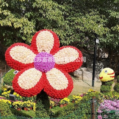 石莒蒲基地種植批發 品優價廉 別名九節菖蒲 山菖蒲 藥菖蒲