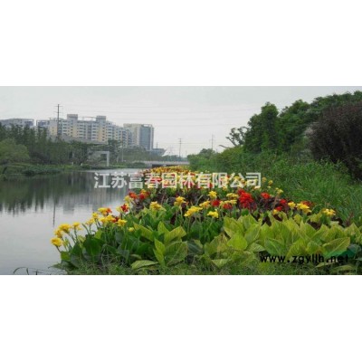 綠雕仿真綠雕植物造型綠雕制作綠雕動物景觀植物雕塑城市園林景觀