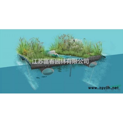 彩葉豆梨*都廠家大小規格* 樹形壯苗