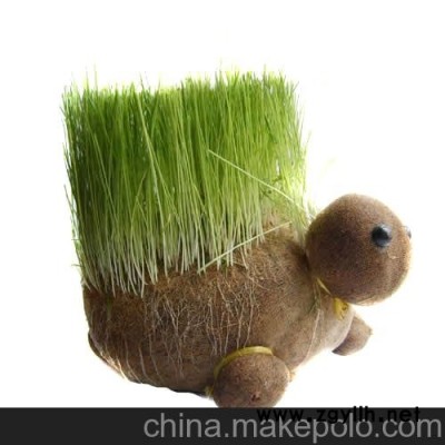 草娃娃，動物，烏龜，工藝品，園藝， KA