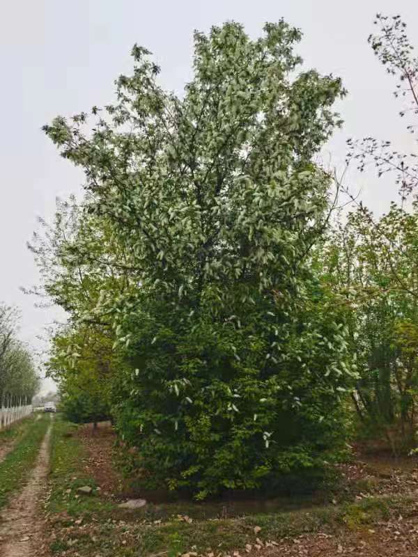 微信圖片_20210421105108