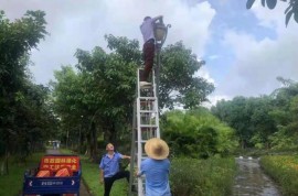 2021年8月7日-8月13日市政園林綠化養護情況