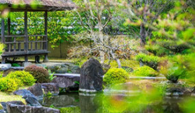 [0]R19023地塊項(xiàng)目的招標(biāo)公告