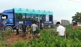 《種子法》明年3月1日起施行 權(quán)威專家深度解讀核心要點(diǎn)