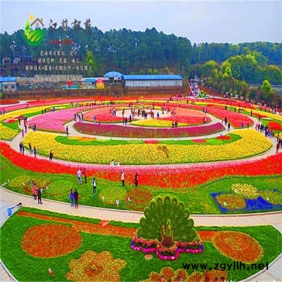 河北省衡水市花海項目設計公司免費設計