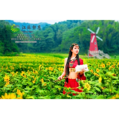 皮科特波斯菊種子種植技術方法...高發芽率