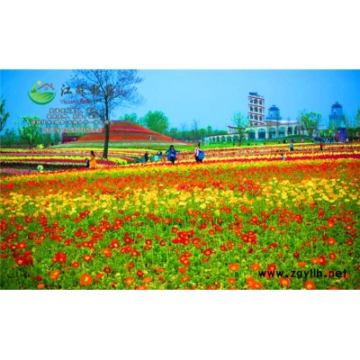 草木樨種子價格...免費試鐘