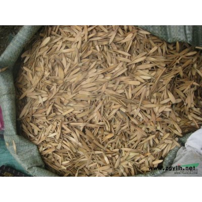 供應白蠟樹苗，白蠟種子，國槐種子，北京欒樹種子