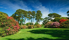 四川雅安四項措施推進森林督查